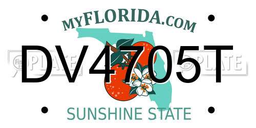 DV4705T Florida License Plate