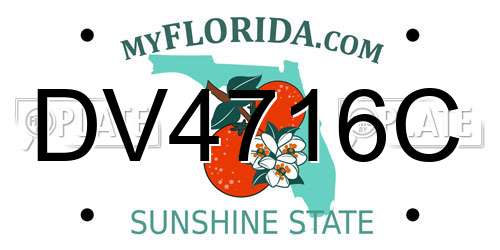 DV4716C Florida License Plate