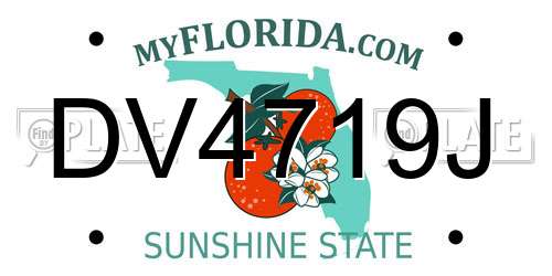 DV4719J Florida License Plate