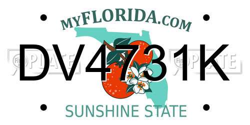 DV4731K Florida License Plate