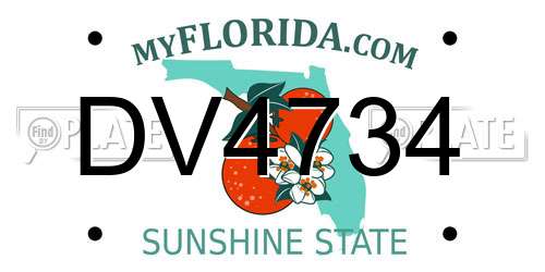 DV4734 Florida License Plate