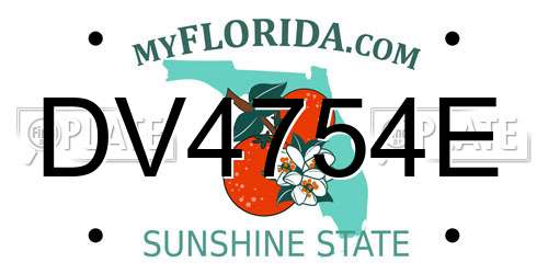 DV4754E Florida License Plate
