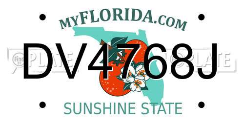 DV4768J Florida License Plate