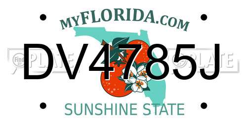 DV4785J Florida License Plate