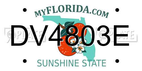 DV4803E Florida License Plate