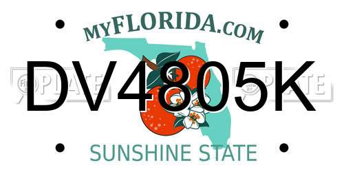 DV4805K Florida License Plate