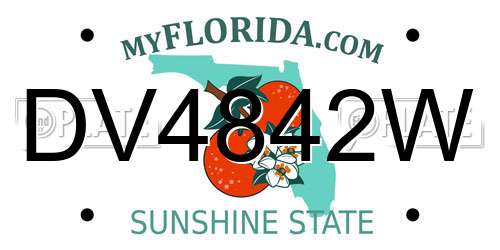 DV4842W Florida License Plate
