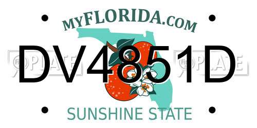 DV4851D Florida License Plate