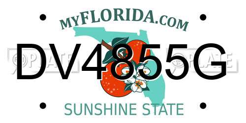 DV4855G Florida License Plate