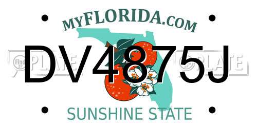 DV4875J Florida License Plate