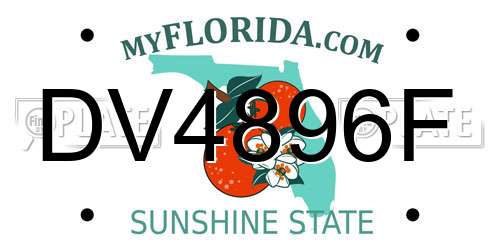 DV4896F Florida License Plate
