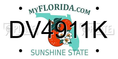 DV4911K Florida License Plate