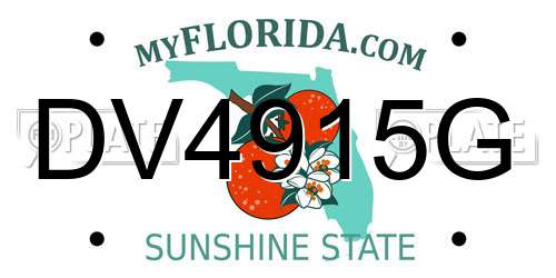DV4915G Florida License Plate
