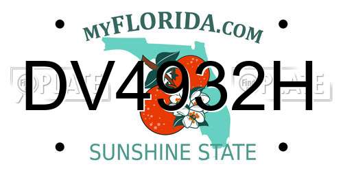 DV4932H Florida License Plate