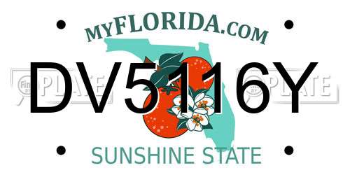 DV5116Y Florida License Plate