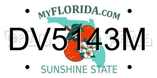 DV5143M Florida License Plate