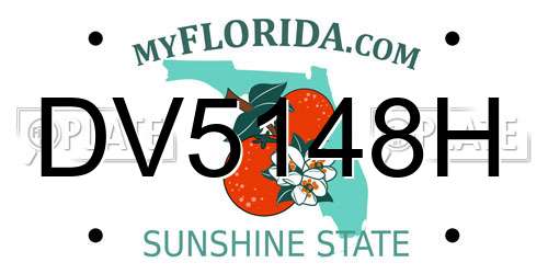 DV5148H Florida License Plate