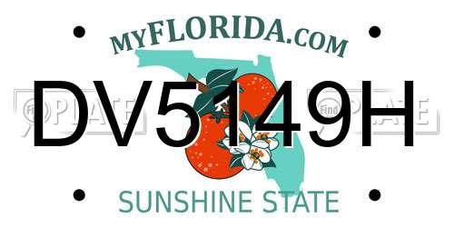 DV5149H Florida License Plate
