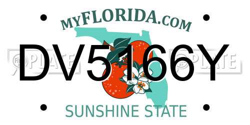 DV5166Y Florida License Plate