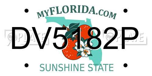 DV5182P Florida License Plate