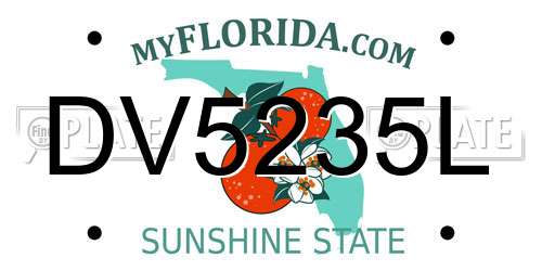 DV5235L Florida License Plate