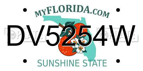 DV5254W Florida License Plate