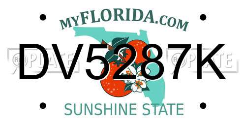 DV5287K Florida License Plate