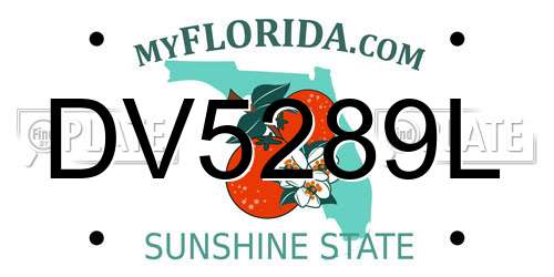 DV5289L Florida License Plate