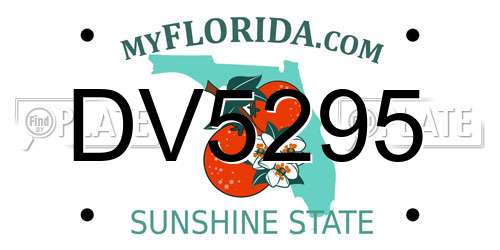 DV5295 Florida License Plate