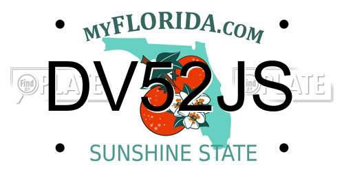 DV52JS Florida License Plate