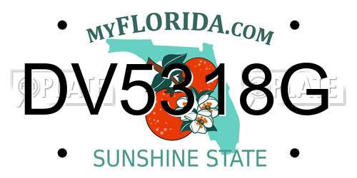 DV5318G Florida License Plate