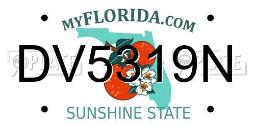 DV5319N Florida License Plate