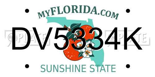 DV5334K Florida License Plate