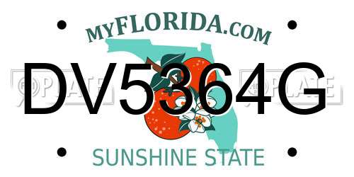 DV5364G Florida License Plate