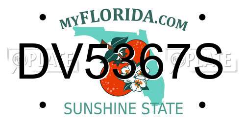 DV5367S Florida License Plate