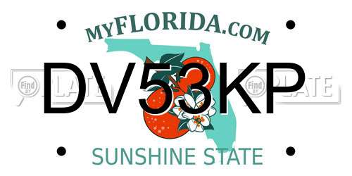 DV53KP Florida License Plate