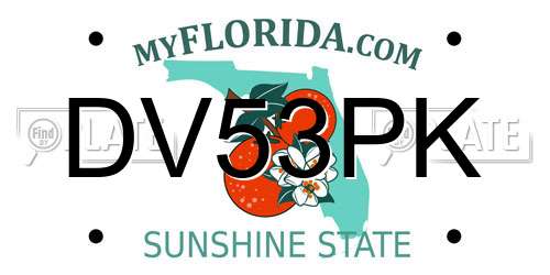 DV53PK Florida License Plate