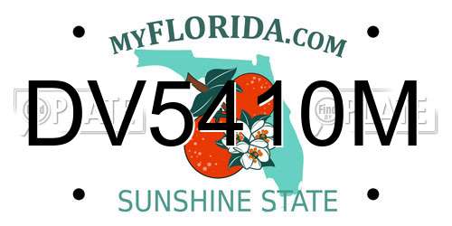 DV5410M Florida License Plate