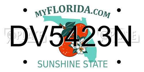 DV5423N Florida License Plate