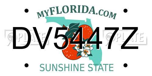DV5447Z Florida License Plate