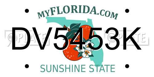 DV5453K Florida License Plate