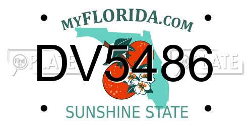 DV5486 Florida License Plate