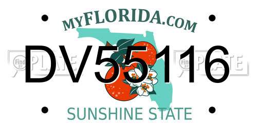 DV55116 Florida License Plate