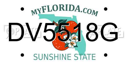 DV5518G Florida License Plate