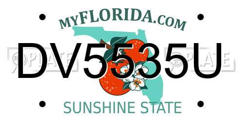 DV5535U Florida License Plate