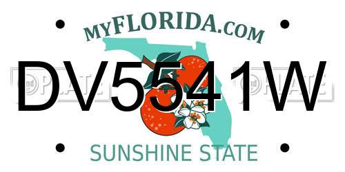DV5541W Florida License Plate