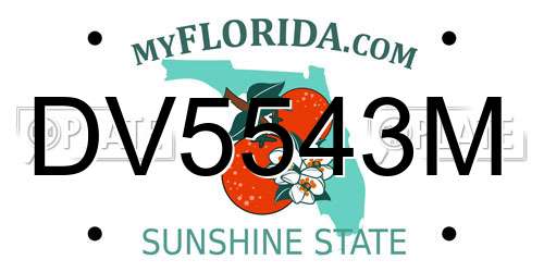 DV5543M Florida License Plate
