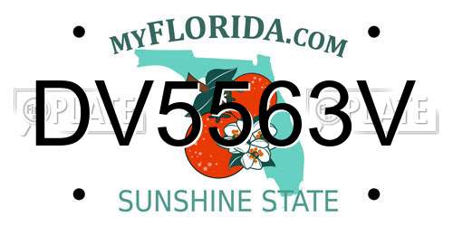 DV5563V Florida License Plate
