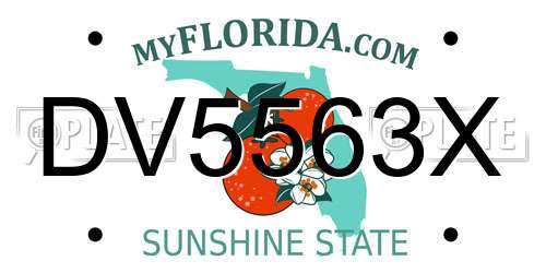 DV5563X Florida License Plate