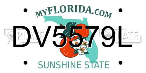 DV5579L Florida License Plate